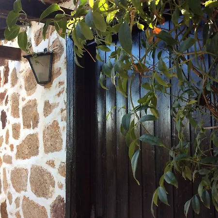 Casa Bourganvilla Arona (Tenerife)