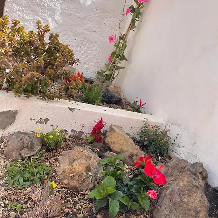 بيت للعطل Casa Bourganvilla